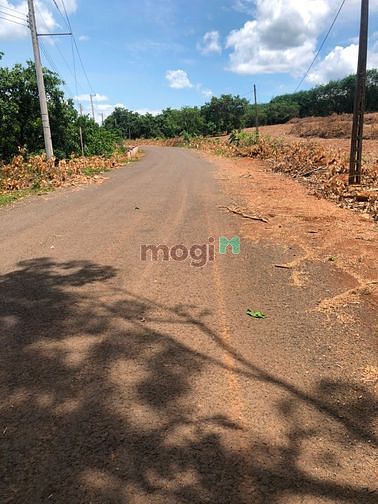 Hình ảnh Bán Gấp đất tại Đồng Phú Bình Phước 1000m2 đường nhựa 26 m