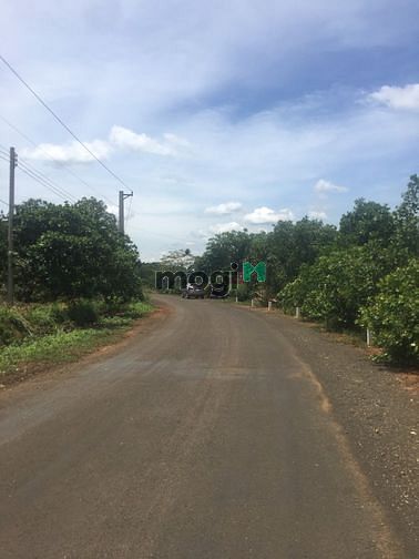 Hình ảnh Bán Gấp đất tại Đồng Phú Bình Phước 1000m2 đường nhựa 26 m
