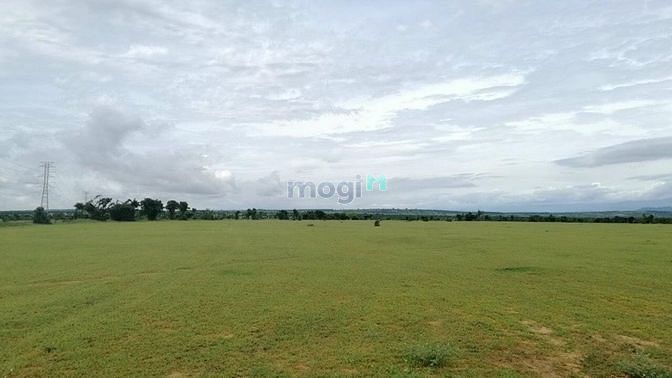 Hình ảnh Cần bán lô đất TT Lương Sơn gần khu dân cư đông đúc