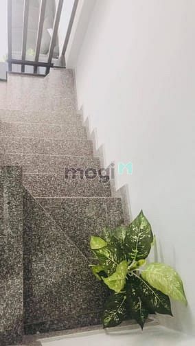 Hình ảnh Nhà đẹp lung linh Cách Mạng Tháng 8, Tân Bình, chỉ 5.1 tỷ