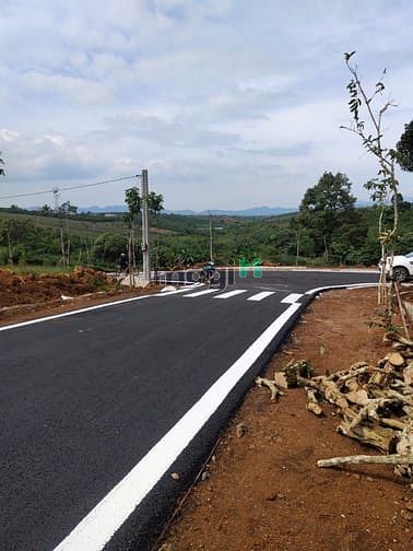 Hình ảnh 2002 full thổ cư đường Lý Thái Tổ. Giá rẻ