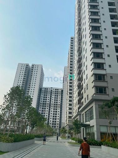 Hình ảnh Cần cho thuê tại chung cư Saigon South Residence, Phước Kiển, Nhà Bè