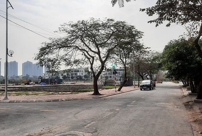 Hình ảnh Bán 100m2 đất đấu giá, mặt phố Tân Tiến. Khu 2.55 ha. Thcs Phúc Diễn