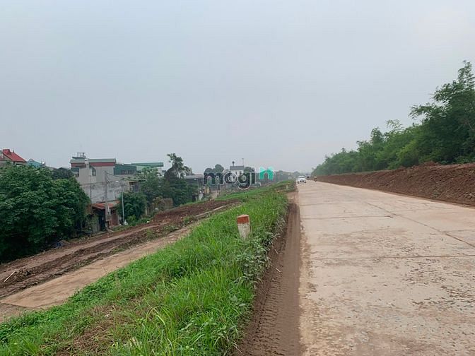 Hình ảnh Bán đất đấu giá lô góc 2 mặt đường thôn Hội, mặt đê Vàng, Cổ Bi