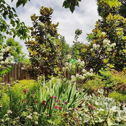 Hình ảnh Tôi cần bán gấp Mảnh đất Tây Mỗ giá 2.3 tỷ, 60m2, Oto cách 10m