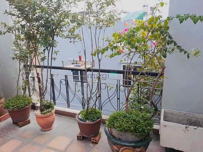 Hình ảnh Bán Nhà Cách Mạng Tháng 8, 46m2, giá 6.6tỷ.