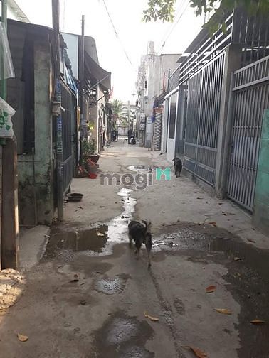 Hình ảnh Bán nhà bình chuẩn thuận an bình dương