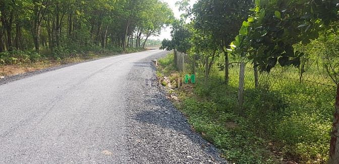 Hình ảnh Bán đất có sẵn vườn, SHR, đường oto, giá 1tr/m2