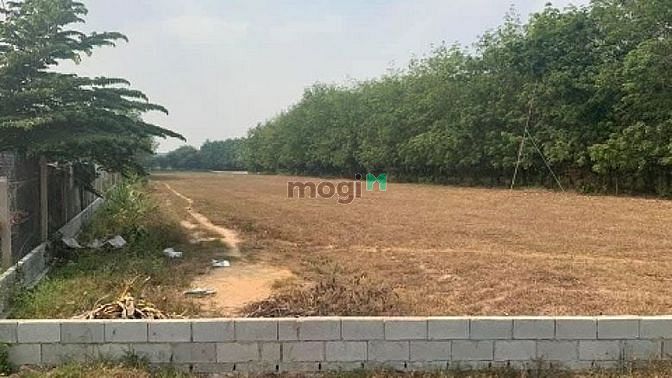 Hình ảnh Bán gấp lô đất diện tích lớn 5000m2 MẶT TIỀN Quốc Lộ 13, Q. Thủ Đức.