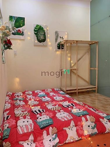 Hình ảnh can hộ mini cao cấp FULL NỘI THẤT có cửa sổ siêu thoáng