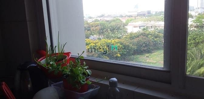Hình ảnh Thuê Trang Chủ MB66.COM / Đăng Ký Tặng 66K Phú Mỹ Hưng 95m2 2PN nội thất đầy đủ