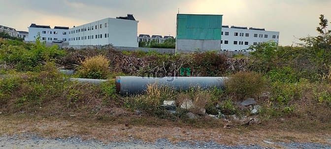 Hình ảnh Đất thổ full- ở khu dân cư 135 (Bến Lức)- giá rẻ vô cùng