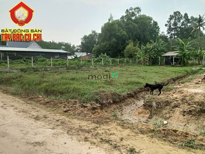 Hình ảnh Bán đất 1/ tỉnh lộ 7 - 500m2 - 13x40 - xã an nhơn tây - củ chi