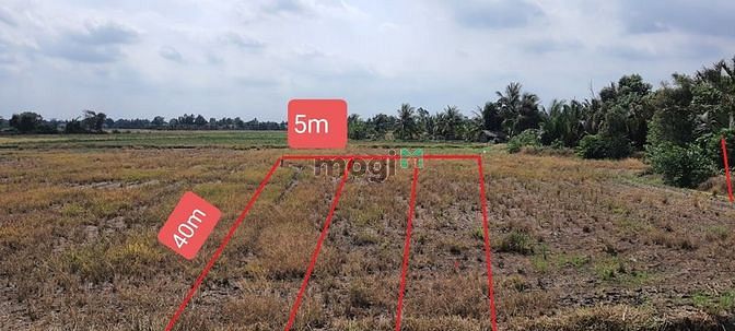 Hình ảnh Bán đất Thổ cư 5x40 đường đá xanh 5m ô tô 8 tấn tới đất