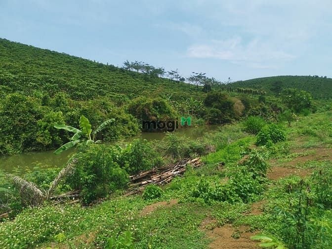 Hình ảnh Bán Đất Nghỉ Dưỡng View Sông Đại Nga , Tp Bảo Lộc