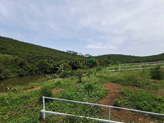 Hình ảnh Bán Đất Nghỉ Dưỡng View Sông Đại Nga , Tp Bảo Lộc