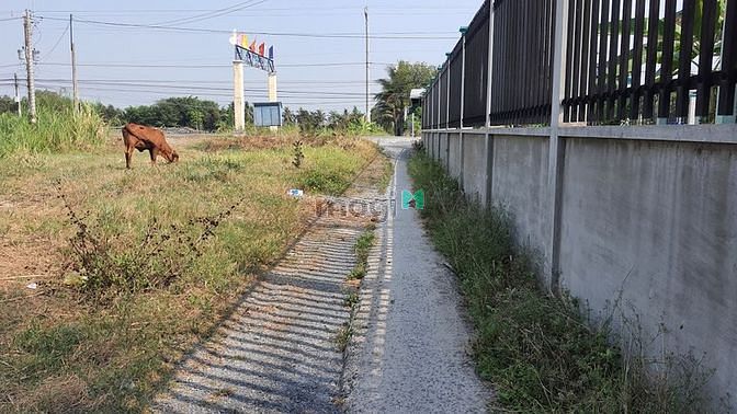 Hình ảnh Bán đất Thổ cư 8x18 view sông Bến Lức