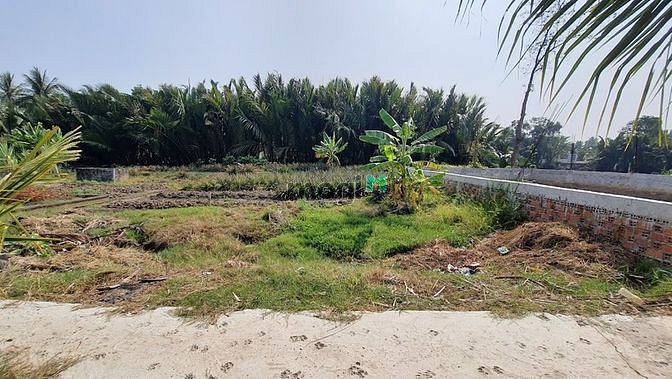 Hình ảnh Bán đất Thổ cư 8x18 view sông Bến Lức