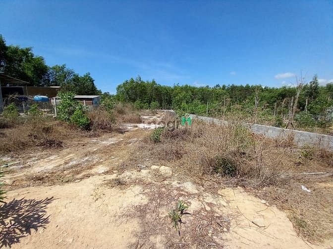 Hình ảnh Bán đất hẻm Thống Nhất, Tân An, thị xã LaGi giá mềm