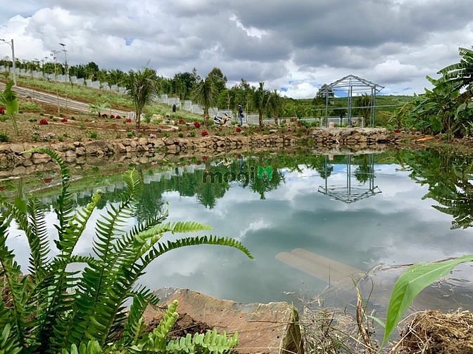 Hình ảnh Bán Đất Mt Tản Đà,có 200M2 Thổ Cư, Cách Tt.bảo Lộc 5Km,giá 1,6 Tỷ