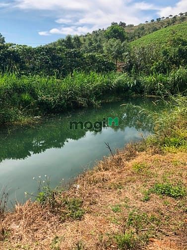 Hình ảnh Bán Đất Mt Tản Đà,có 200M2 Thổ Cư, Cách Tt.bảo Lộc 5Km,giá 1,6 Tỷ