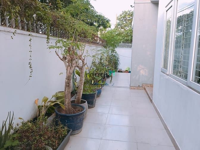 Hình ảnh Cho thuê nhà 43A1 Cộng Hòa, Phường 12, Quận Tân Bình