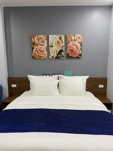 Hình ảnh Cho thuê chung cư  đủ đồ Quận Ba Đình giá r
