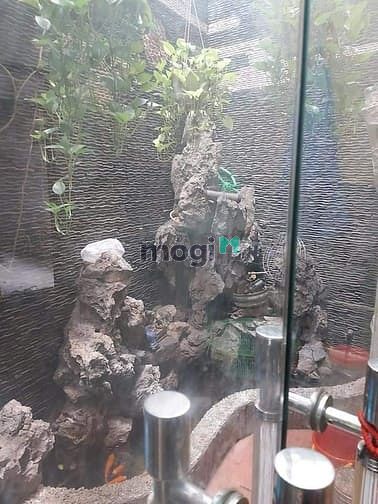 Hình ảnh Bán nhà Tôn Đức Thắng 78m 5 tầng 7tỷ6.