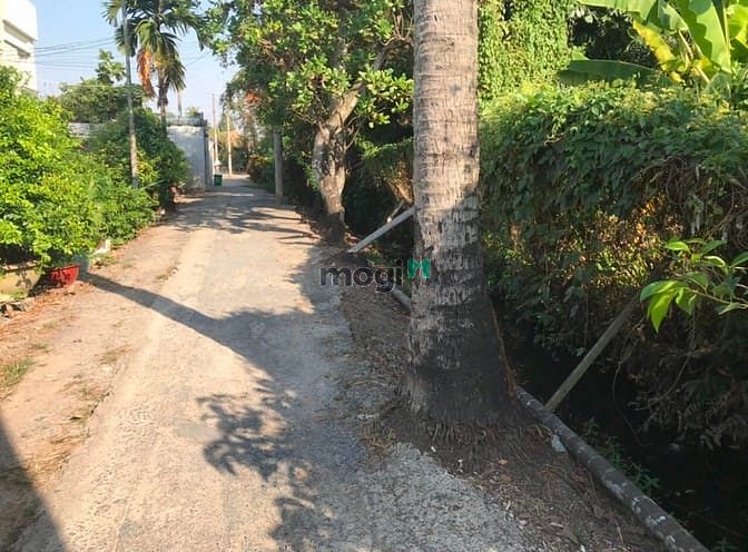 Hình ảnh Bán Gấp đất 127.5m2 thổ cư, lộ giới 20m, gần sông Sài Gòn