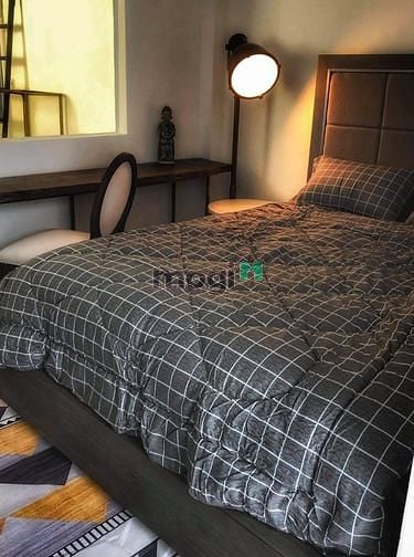 Hình ảnh Cần cho thuê Studio mới xây, đầy đủ nội thất Thảo Điền, Quận 2