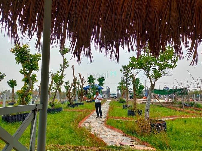 Hình ảnh Bán đất có sẵn vườn, SHR, đường oto, giá 1tr/m2