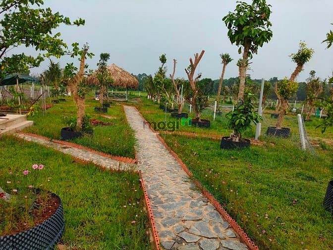 Hình ảnh Bán đất có sẵn vườn, SHR, đường oto, giá 1tr/m2