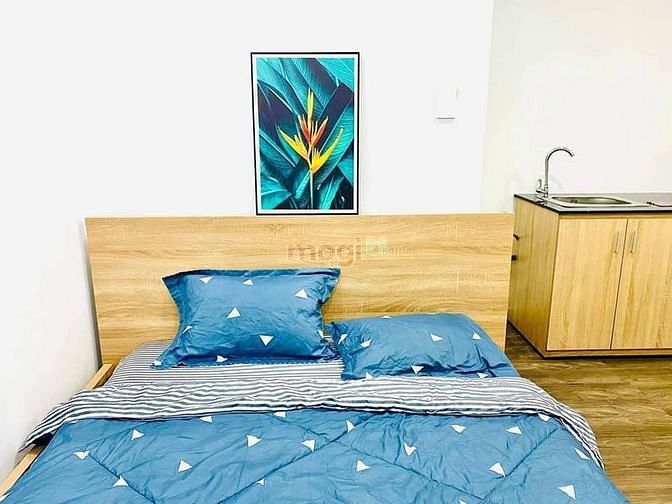 Hình ảnh Căn Hộ Không chung chủ, Full NT , Có Thang Máy Cửa SỔ, Quận 1