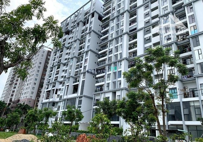 Hình ảnh Bán đất nền Khu dân cư 13C Phong Phú Bình Chánh, 85m2 có sổ hồng riêng