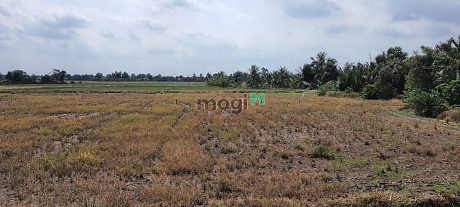 Hình ảnh Bán 2000m2 đất có 600m2 Thổ cư, đường đá xanh 5m xe 8 tấn tới đất