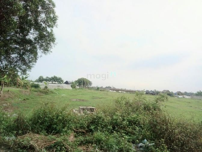 Hình ảnh 1ha ( 10.000m2) có 8000m2 thổ đất hẻm Dương Công Khi, Hóc Môn 9.5tr/m2