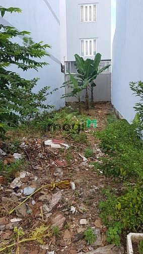 Hình ảnh Bán lô đất SHR MT Trần Văn Giàu,AEON mall Bình Tân-bến xe miền tây.