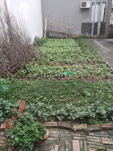 Hình ảnh Bán đất Văn Trì Bắc Từ Liêm 56m2 giá 2.2 tỷ.