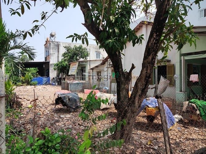 Hình ảnh Đất 6x25m, KDC hiện hữu mặt tiền Tây Lân 3, Bà Điểm 1 sẹc Phan Văn Hớn