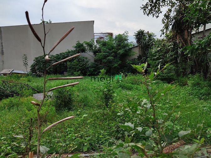 Hình ảnh Đất 10x22M, Mặt Tiền Xuân Thới 7, Gần nhà thờ Bùi Môn, Hóc Môn