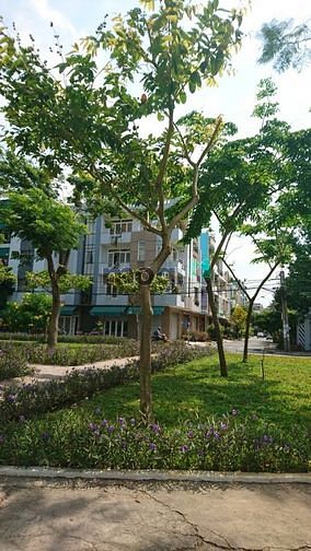 Hình ảnh 👉👉Đất Hẻm Oto Tải Vườn Lài Vị trí Kinh Doanh Siêu tốt ,Giá Chỉ 7.3Ty