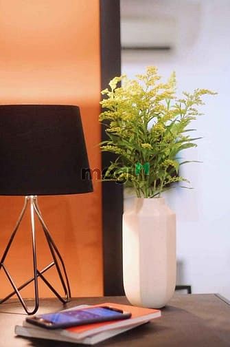 Hình ảnh Cho thuê Căn Hộ Phú Nhuận Giá Tốt