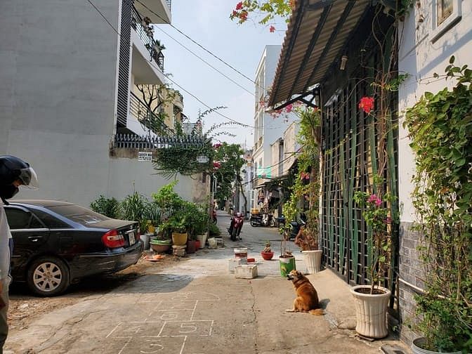 Hình ảnh 82m2 Full thổ cư đường 38 Hiệp Bình Chánh Thủ Đức, hẻm 4m5/ Giá 5ty35