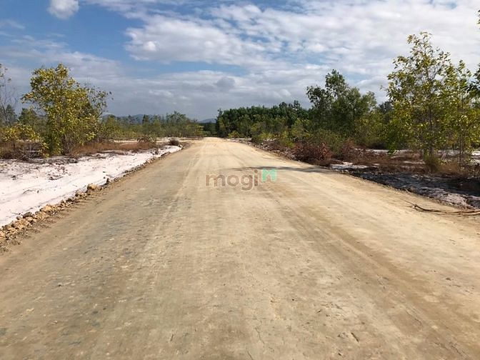 Hình ảnh 15 mẫu đất . Đường trước đất 10 m. Tân thắng , hàm tân. Giá 31 tỷ.