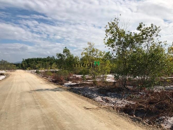 Hình ảnh 15 mẫu đất . Đường trước đất 10 m. Tân thắng , hàm tân. Giá 31 tỷ.