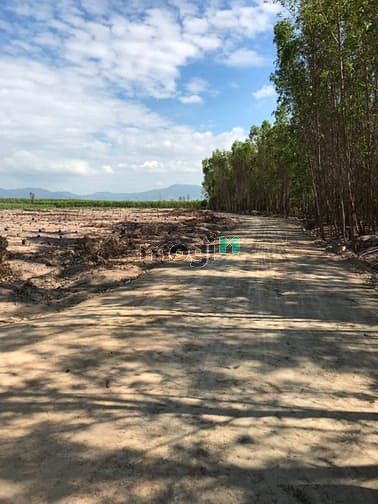 Hình ảnh Đất 10 mẫu rưỡi. Tân thắng. Sát becamex. Giá 32 tỷ.