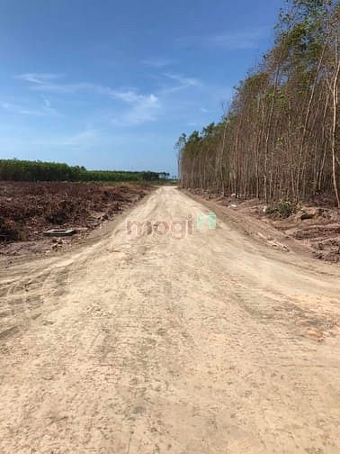 Hình ảnh Đất 10 mẫu rưỡi. Tân thắng. Sát becamex. Giá 32 tỷ.