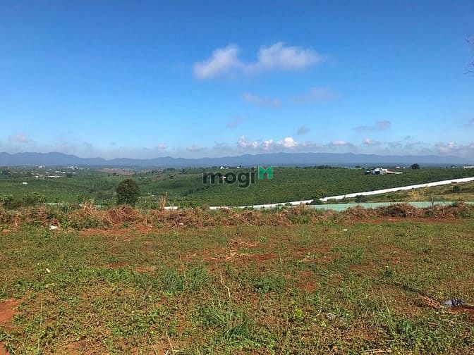 Hình ảnh Cần bán đất view nghỉ dưỡng tại Đambri - Bảo Lộc
