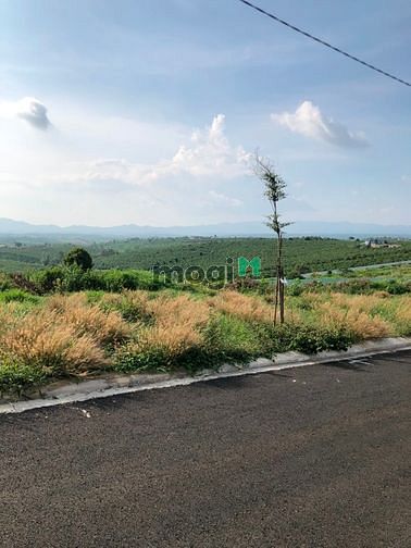 Hình ảnh Cần bán đất view nghỉ dưỡng tại Đambri - Bảo Lộc