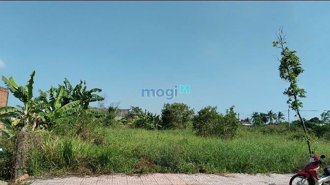 Hình ảnh Đất thổ cư 125 m2 1tỷ250 ngay ngã tư soài đôi thuộc Long Hòa Cần Đước